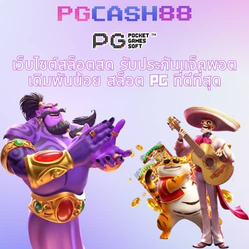 หาสปินฟรี
